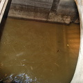 Sewer water